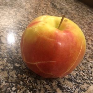 Meet your Posher, Bo